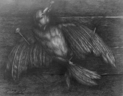 Uwe-BullmannGetöteter-Vogel1985Graphitstift-auf-Papier24x31cm