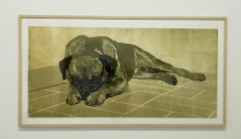 Uta Zaumseil, Takeshi, 2007, Holzschnitt, 75x160cm