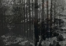 Uta Zaumseil, o.T., 2018, Linolschnitt auf Foto, 28x40cm