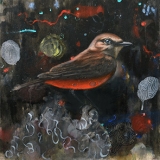 11 Heiko Müller,Flycatcher