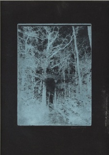 Eiko-Borcherding_02