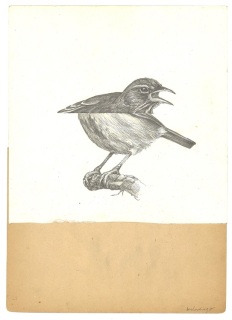 Eiko Borcherding, O.T., 2017, Bleistift, Collage, 34x24cm