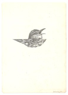 Eiko Borcherding, O.T., 2017, Bleistift, 34x24cm