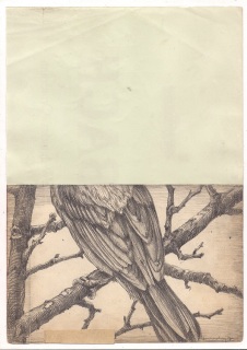 Eiko-Borcherding_2Eiko-Borcherding_2
