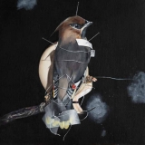38-Heiko-Müller-Bohemian-Waxwing-2017-Öl-auf-Malplatte-40-x-40-cm
