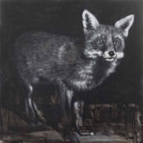 41-Heiko-MüllerUntitled-Fuchs-2017-Öl-und-Acryl-auf-Holz-30-x-30-cm