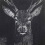 42-Heiko-Müller-Untitled-Hirsch-2017-Öl-und-Acryl-auf-Holz-30-x-30-cm