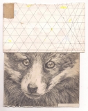 Eiko Borcherding, O.T., 2015, Stift, Farbstift, Collage, 21 x18cm
