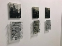 IMG_1496