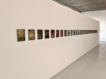 IMG_1548