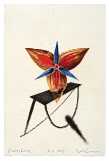 Steffen-Volmer-Dreistern