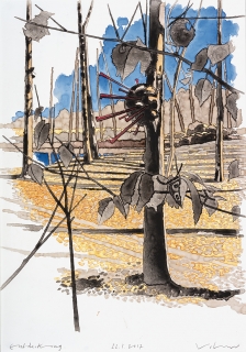 Steffen-Volmer-Entdeckung