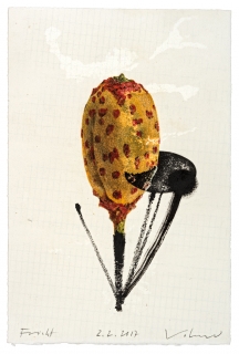 Steffen-Volmer-Frucht