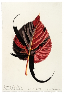 Steffen-Volmer-Zwei-Seiten_eines_Blattes